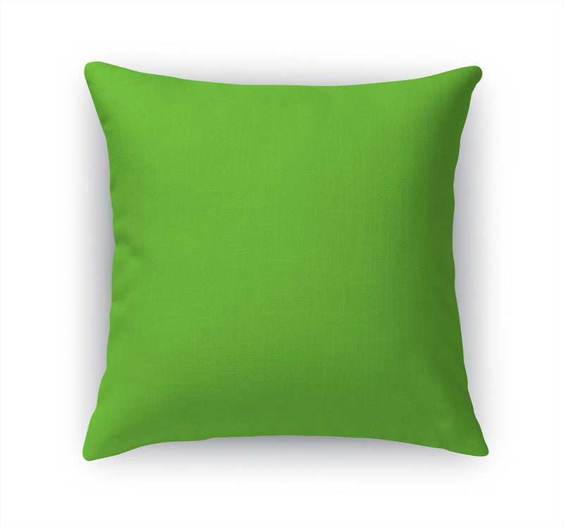 GREEN FLASH Accent Pillow By Kavka Designs