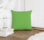 GREEN FLASH Accent Pillow By Kavka Designs