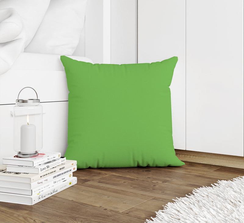 GREEN FLASH Accent Pillow By Kavka Designs