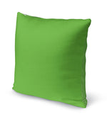 GREEN FLASH Accent Pillow By Kavka Designs