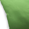 GREEN FLASH Accent Pillow By Kavka Designs