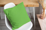 GREEN FLASH Accent Pillow By Kavka Designs