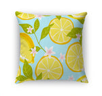 LEMON DAYS Accent Pillow By Kavka Designs