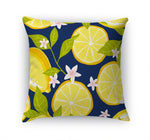 LEMON DAYS Accent Pillow By Kavka Designs