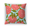 RUBY RED GRAPEFRUIT Accent Pillow By Kavka Designs