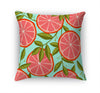 RUBY RED GRAPEFRUIT Accent Pillow By Kavka Designs