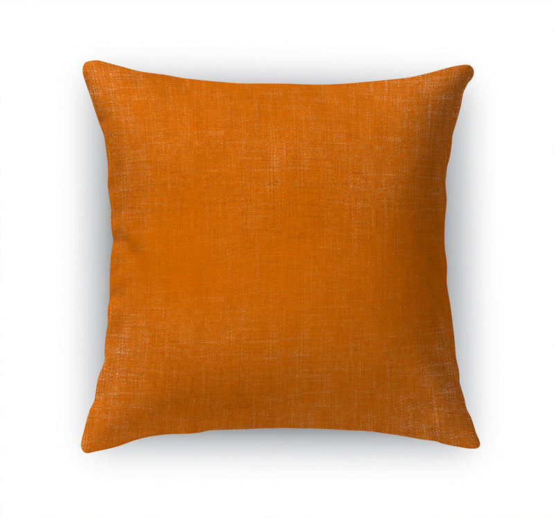 AUTUMN SKIES Accent Pillow By Kavka Designs