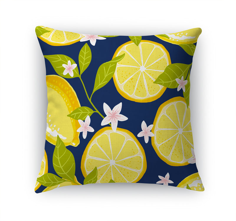 LEMON DAYS Accent Pillow By Kavka Designs