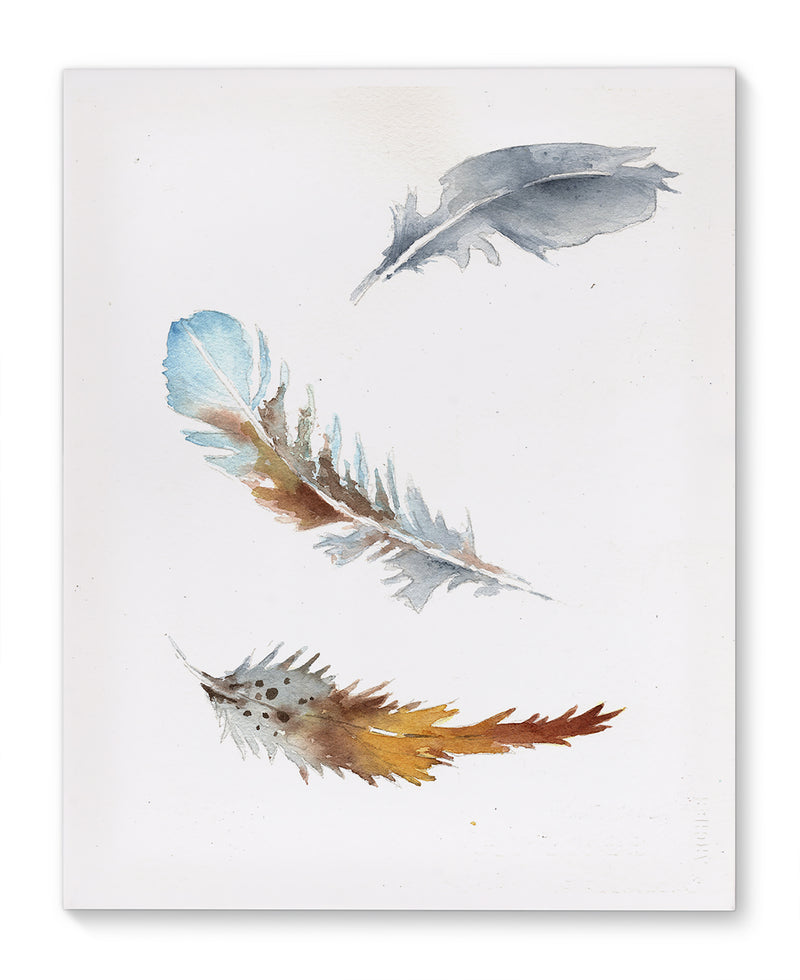 FEATHERS Canvas Art By Jayne Conte