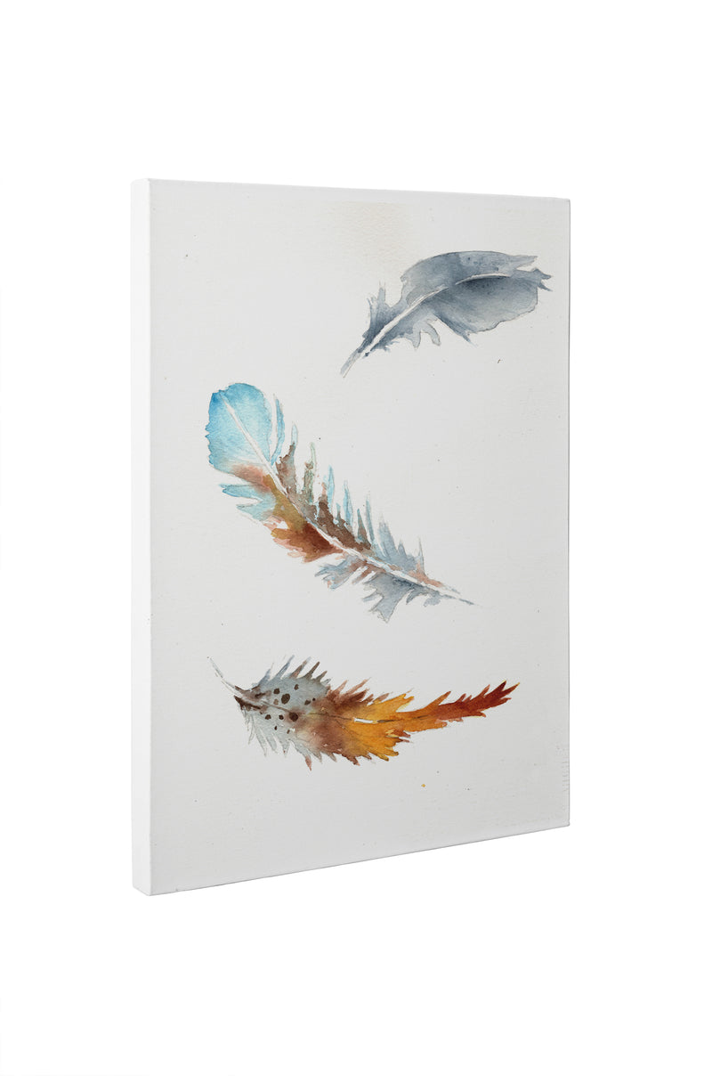 FEATHERS Canvas Art By Jayne Conte
