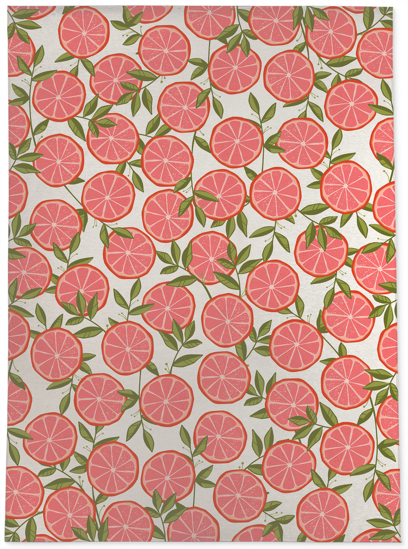 RUBY RED GRAPEFRUIT Outdoor Rug By Kavka Designs