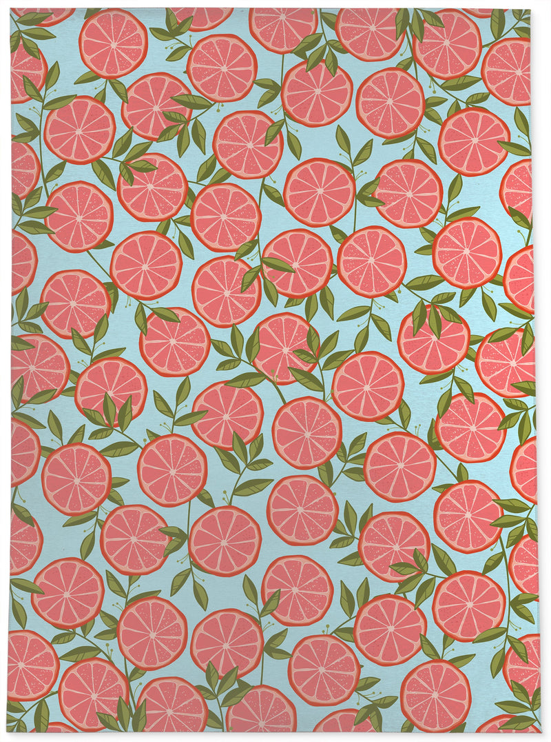 RUBY RED GRAPEFRUIT Outdoor Rug By Kavka Designs