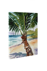 SUMMER PALM Canvas Art By Jayne Conte